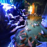 Gallery Thumbnail 4