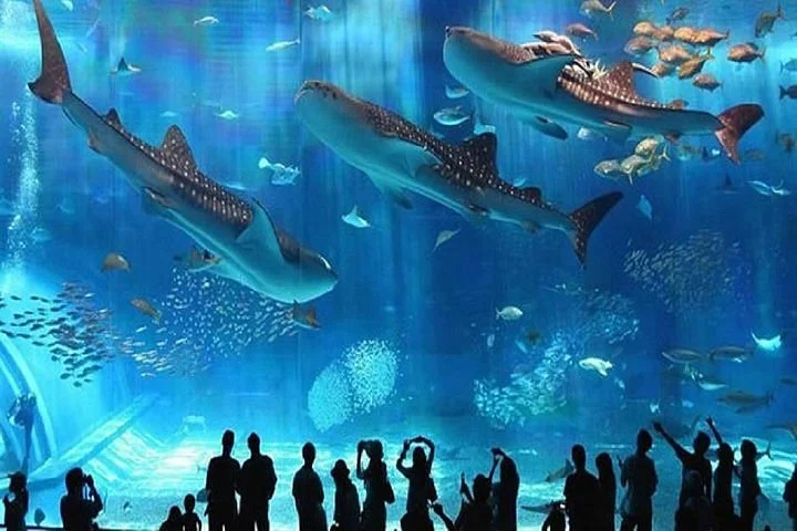 Grand Aquarium Hurgada